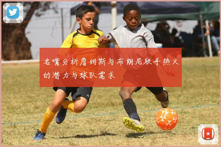 名嘴分析詹姆斯与布朗尼联手热火的潜力与球队需求