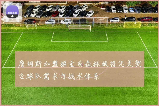 詹姆斯加盟掘金或森林狼将完美契合球队需求与战术体系