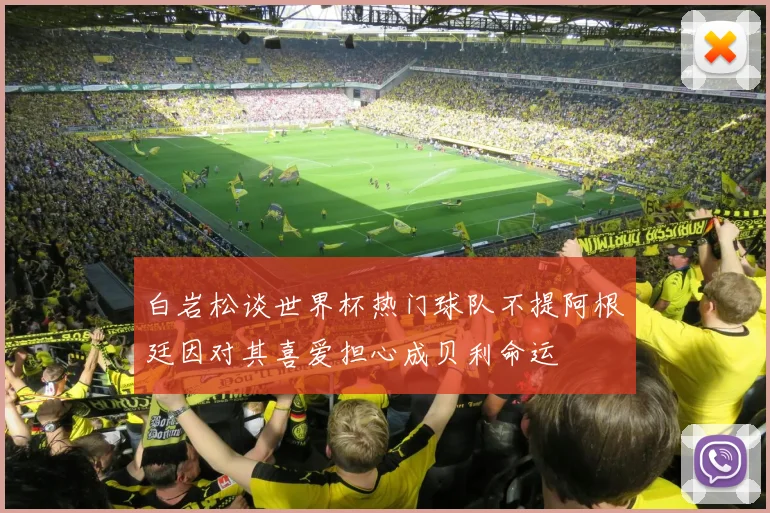 白岩松谈世界杯热门球队不提阿根廷因对其喜爱担心成贝利命运