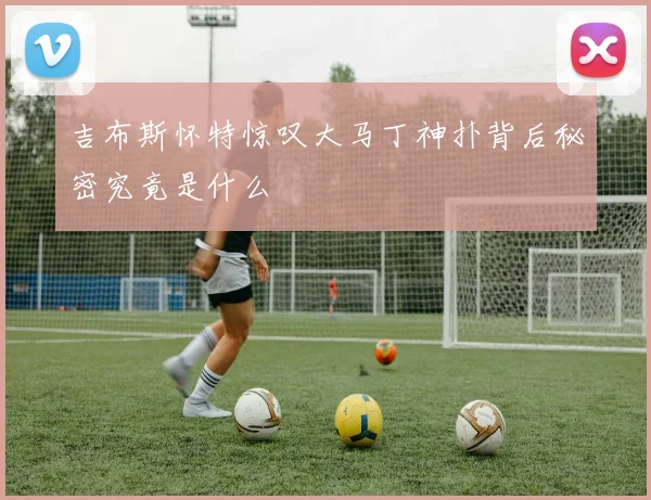 吉布斯怀特惊叹大马丁神扑背后秘密究竟是什么